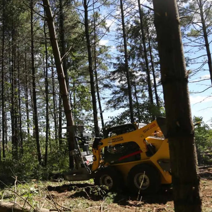 Baumalight FBS752 Feller Buncher For Skid Steers