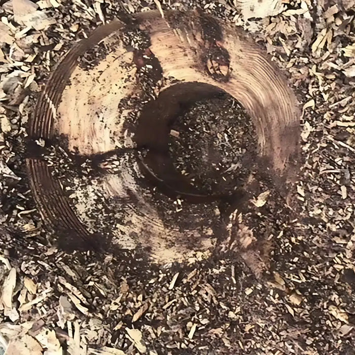 Baumalight RSS380 Planer 20 - 40 GPM For Skid Steers