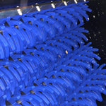Blue Diamond Skid Steer Screening Bucket