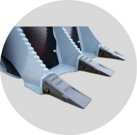 Replaceable Rake Teeth