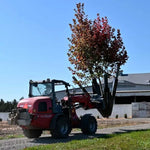 Baumalight DR444 Industrial Tree Spade For Skid Steers