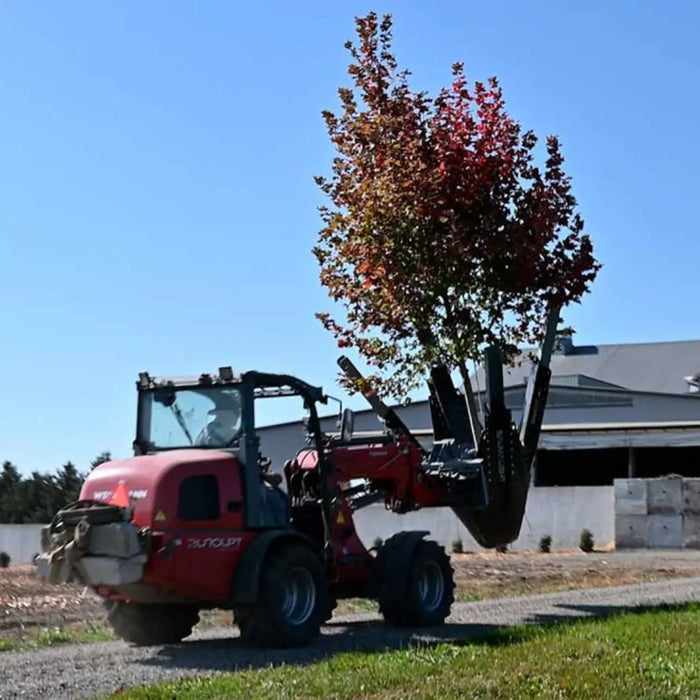 Baumalight DR444 Industrial Tree Spade For Skid Steers